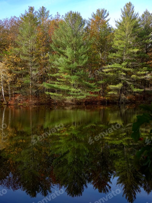 Preview: Reflection