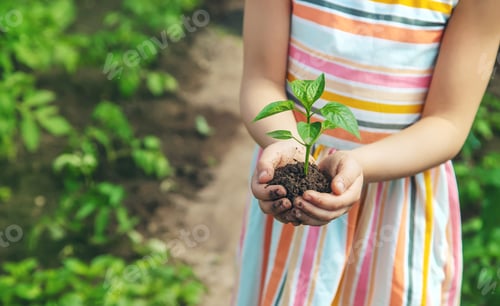 Preview: nature