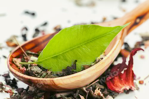Preview: Dried tea heaped teaspoonful on white background, closeup