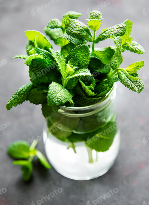 Preview: bunch of fresh mint