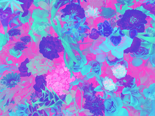 Preview: Flowers in pretty and vibrant colors