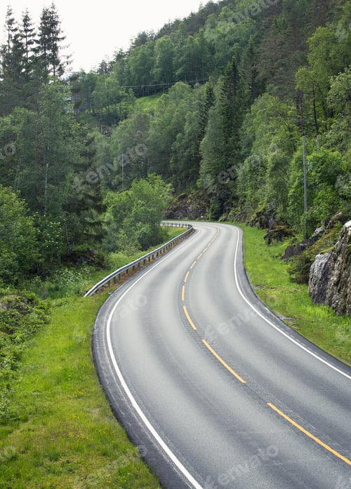 Preview: empty winding forest road
