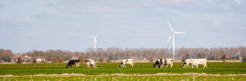 Preview: Windmill in a rural area during sunset
