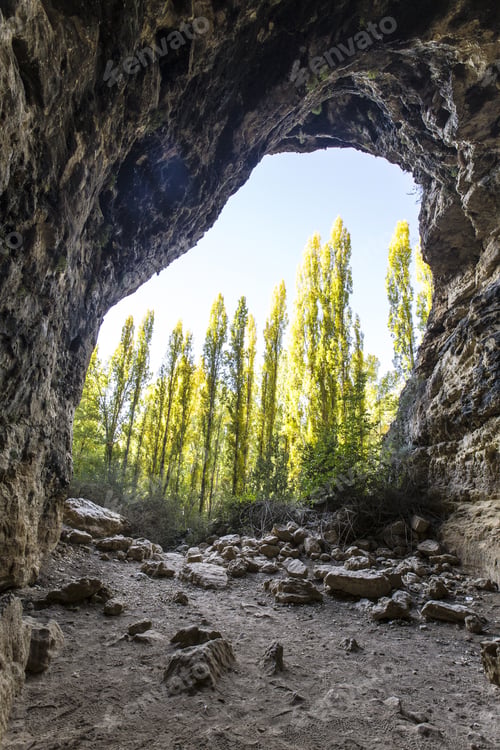 Preview: Vertical shot of a cave with trees on the background in the Senda de la Vega park in Segovia, Spain