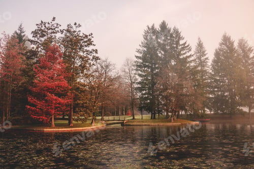 Preview: Mystic morning by the lake