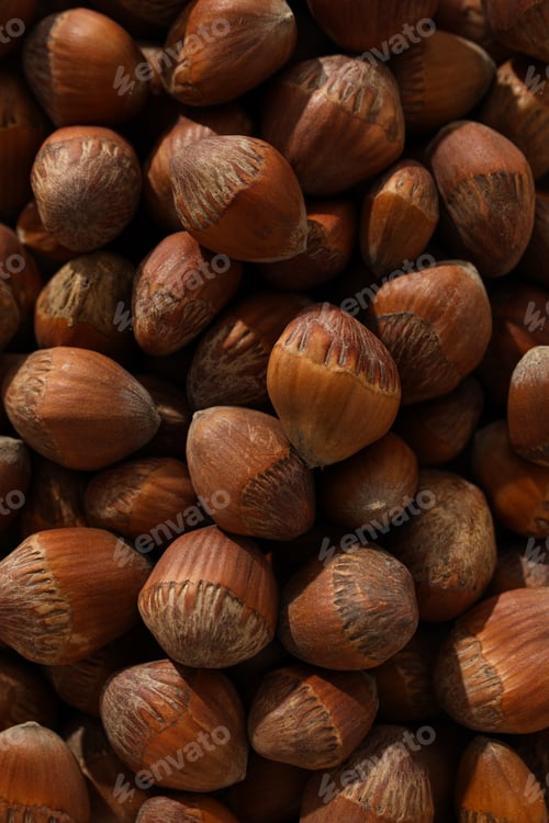 Preview: Close-up view of a pile of hazelnuts