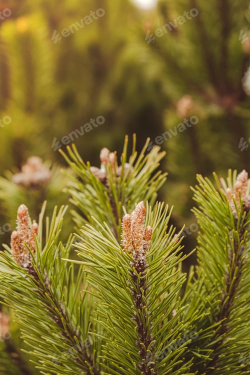 Preview: Beautiful red roses flowers in postal envelope on neutral beige background, copy space