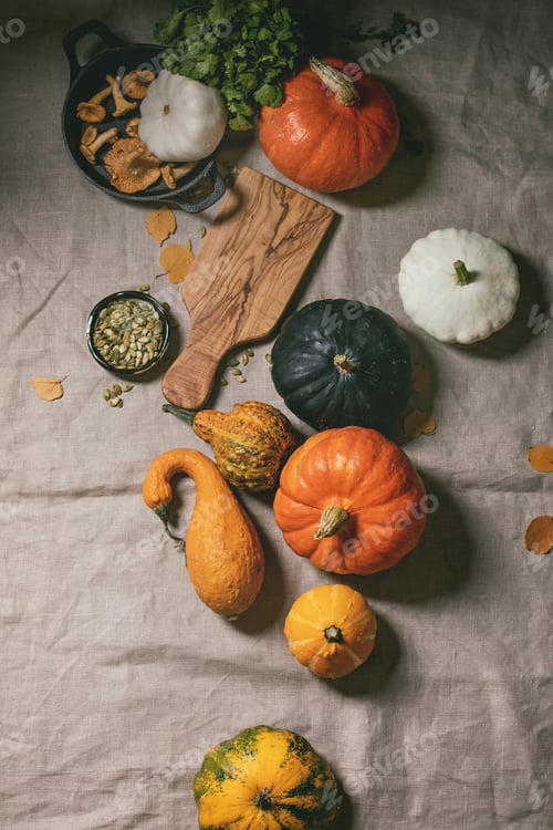 Preview: Variety of colorful pumpkins