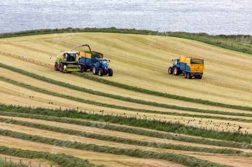 Preview: Agriculture - Ballycastle - Northern Ireland