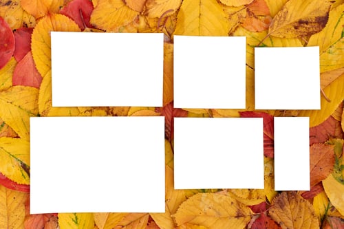 Preview: White blank frames lie on the background of yellow and red autumn leaves