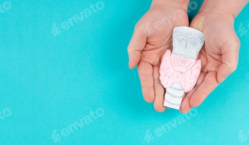 Preview: Holding thyroid organ in the hands, drawing paper cut out, hyperthyroidism and hypothyroidism