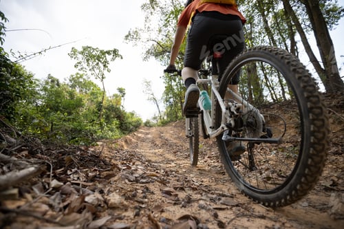 Preview: Woman cyclist cycling on mountain top forest trail