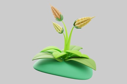 Preview: Potted wheat plant indoor decoration