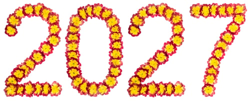 Preview: Inscription 2027, from natural flowers of primula, isolated on white background