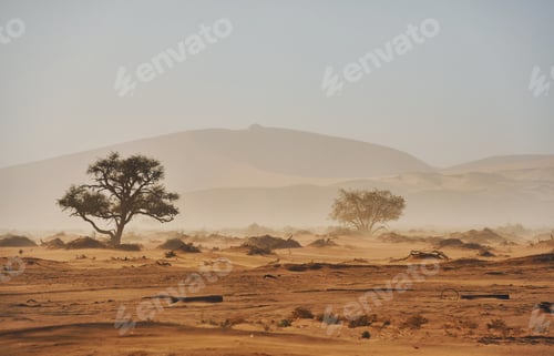 Preview: Large distance. Majestic view of amazing landscapes in African desert