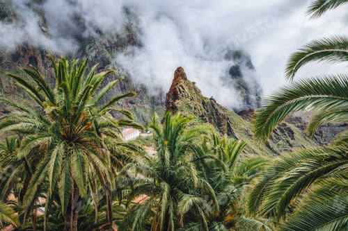 Preview: Amazing view mirador of the Masca gorge and village in Tenerife. White thick clouds fog descends