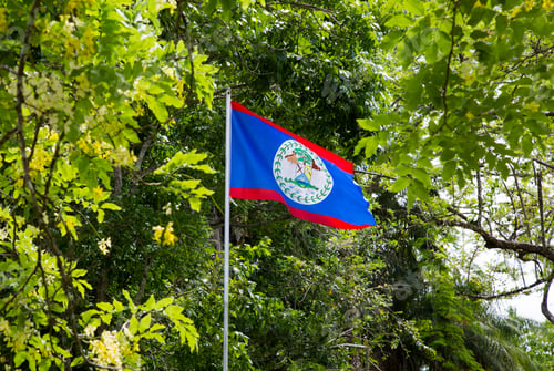 Preview: Belize National Flag in the forest