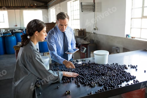 Preview: Manager instructing worker while checking a harvested olives