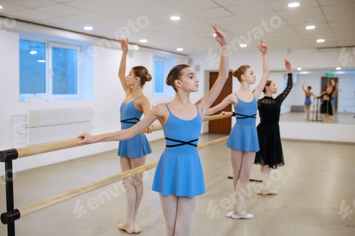 Preview: Master and ballerinas, exercise at barre in class