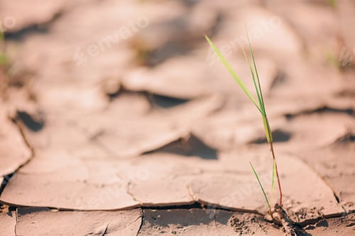 Preview: Dry land ground. Global warming problem. Desert concept. Cracked soil caused by dehydration. Water