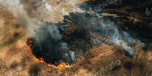Preview: Aerial Panoramic View Of Dry Grass Burns During Drought And Hot Weather. Concept Of Save Nature