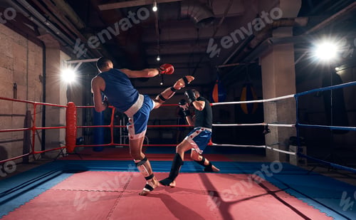 Preview: Boxers training kickboxing in the ring at the health club