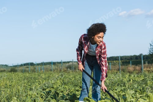 Preview: african american woman in plaid shirt working in field against blue sky