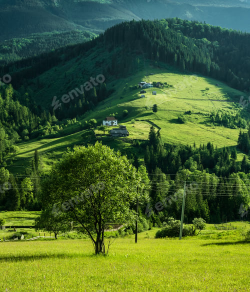 Preview: beautiful summer monntain landscape