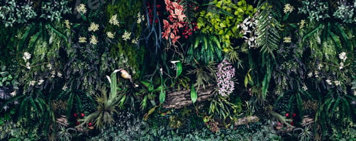 Preview: Herb wall, plant wall, natural green wallpaper and background.