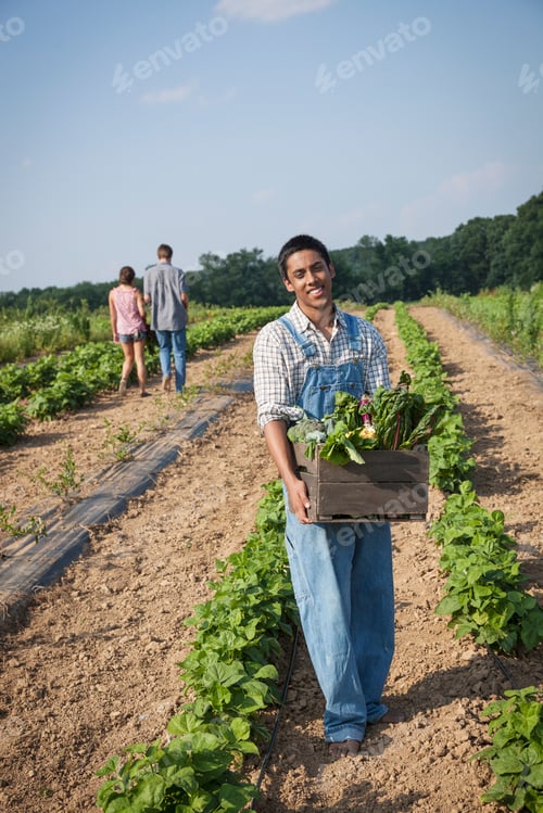 Visualização: Um menino segurando uma grande caixa de madeira com legumes frescos, colhidos dos campos.