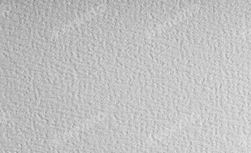 Preview: Fiber textured paper white background