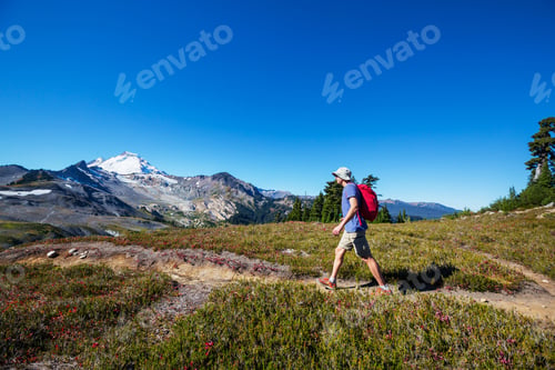 Backpacker Hiking on Trail in Wilderness on Clear Day