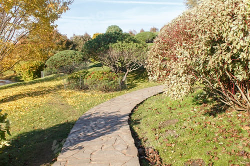 Preview: Park with green lawn, trees and trimmed bushes.