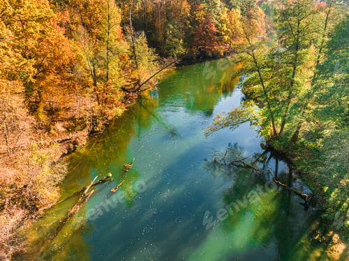 Preview: River Brda in and forest at sunrise in autumn, Poland.