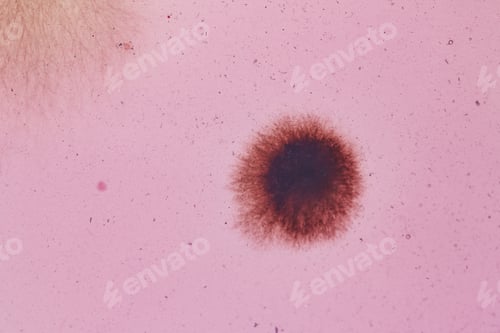 Preview: Growing bacteria