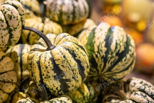 Preview: Closeup of heap of colorful pumpkins - autumn harvest