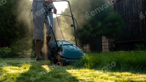 Preview: electric lawn mower, Freshly cut thick grass on the lawn,, low angle view. grass in the backyard,