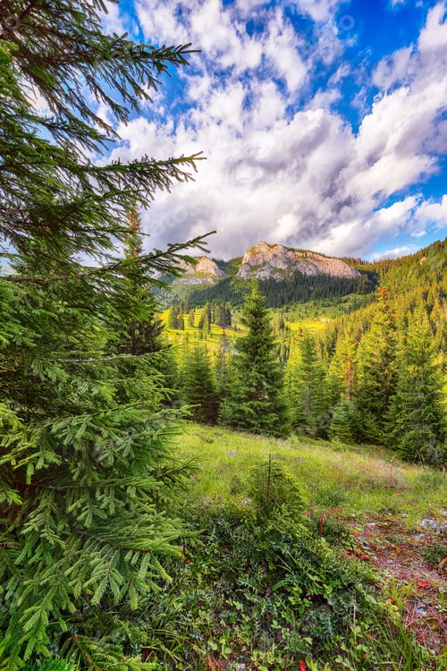 Preview: Amazing view of Pietrele Albe mountaine peak at summer time.