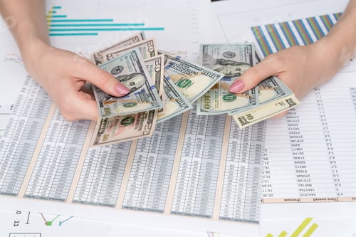 Preview: girl counts american dollar bills on the background of business documents