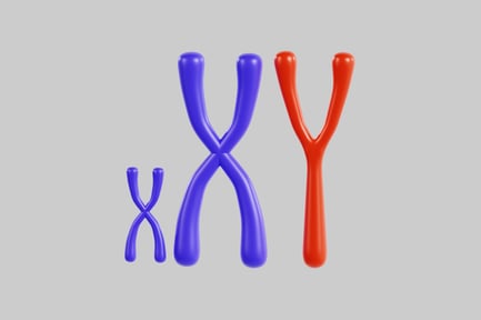 Visualização: Conjunto de cromossomos xy xx