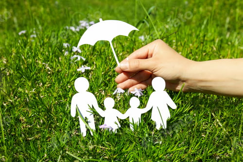 Preview: Concept of family, protection of family, family rights, family health