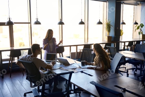 Preview: Manager woman is conducting briefing for employees in the office