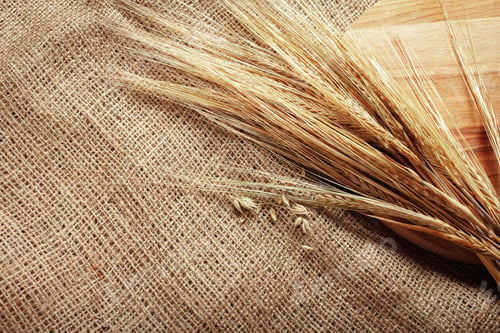 Preview: Wheat on burlap with wooden board in a simple kitchen setting during daytime