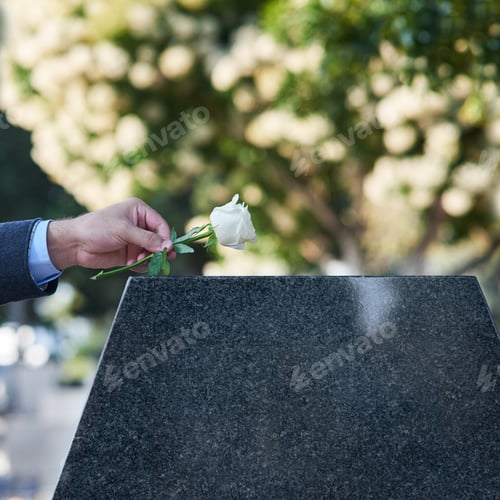 Preview: Love never quite leaves us. Cropped shot of a man placing a white rose on a grave.