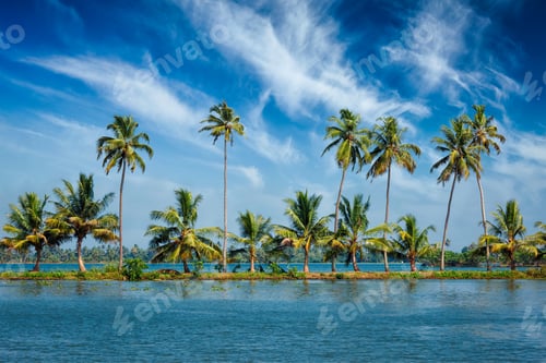 Preview: Kerala backwaters with palms
