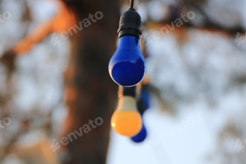 Preview: Colorful bulbs
