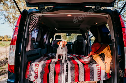 Preview: cute jack russell dog relaxing in a van. travel concept