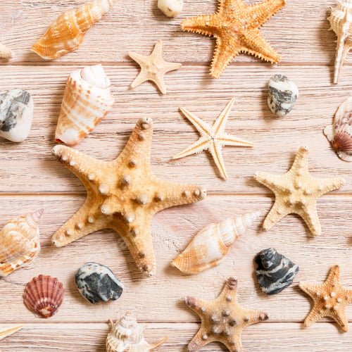 Preview: Starfish and seashells background on a wooden table, top view, flat lay