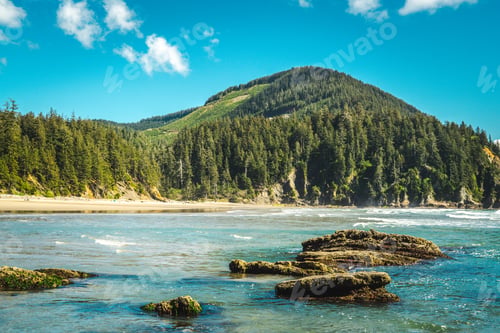 Preview: Beautiful Oregon coast on a sunny day!