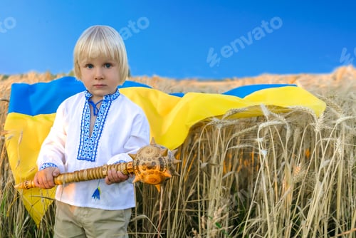 Preview: child kid boy in embroidered shirt holding,ukrainian national blue yellow flag,mace in wheat field